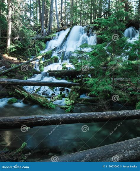 A Long Exposure of a Waterfall Hidden in the Rain Forest Stock Photo ...