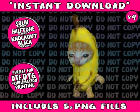 Banana Cat Funny Meme Kitten Fruit Download Png Bundle, Trending Png ...