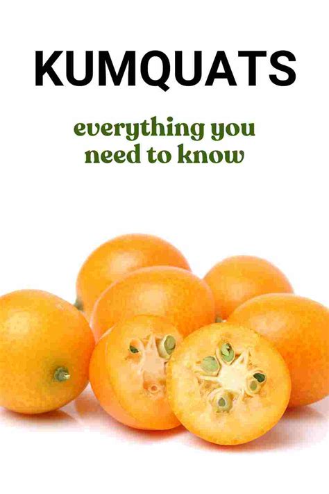 Kumquats 101 How To Use Buy Store In Easy Way What Are Kumquats Fas Kitchen