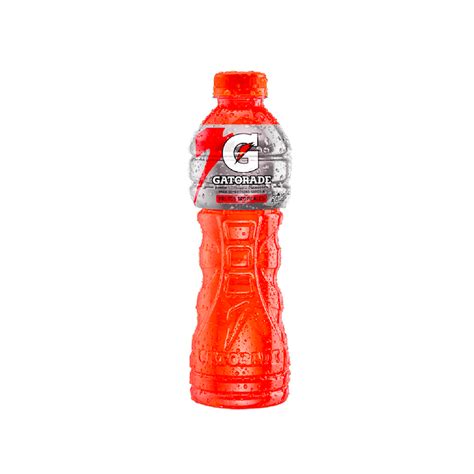 GATORADE FRUTAS TROPICALES 500ml El Chuzo De Jota De La 10 Online