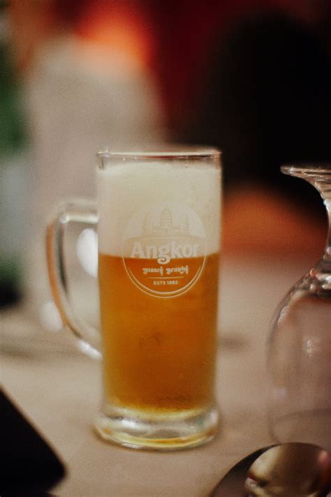 Glass of Angkor Beer · Free Stock Photo