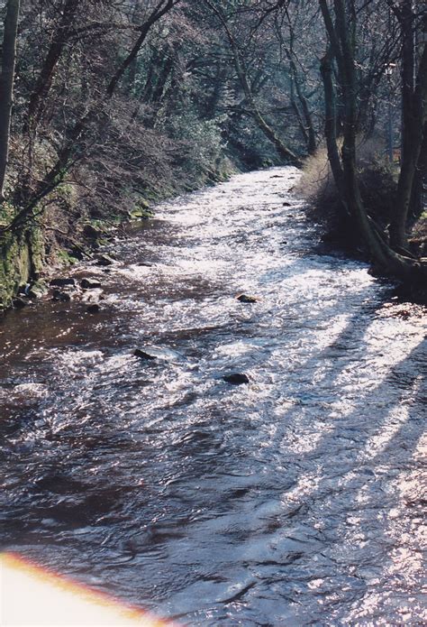 Colinton Dell Feb 1991 Alljengi Flickr