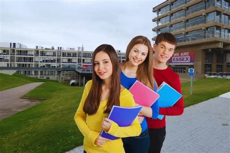 University Of Essex Rankings Course Admission Fees 2024