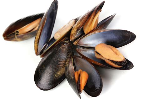 Comment Cuisiner Les Moules