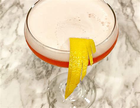 Gin Campari Sour | A Bold Campari Cocktail That Actually Tastes Good ...