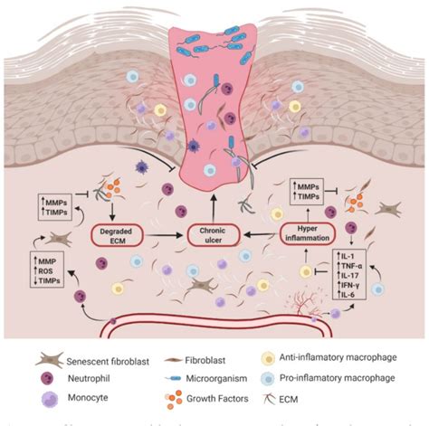 [pdf] Current Advances In The Development Of Hydrogel Based Wound Dressings For Diabetic Foot