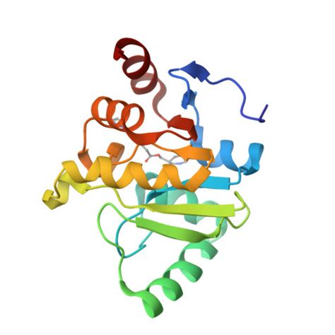 Rcsb Pdb Som Pandda Analysis Group Deposition Crystal Structure