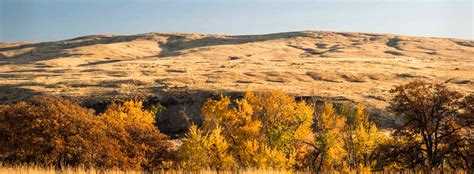 Education And Community Outreach Cowiche Canyon Conservancy