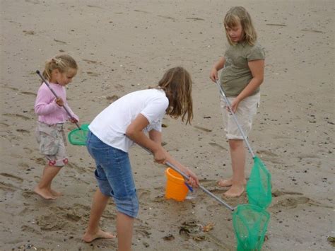 Naturerlebnisse Mein Föhr Urlaub