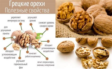 Грецкие орехи - полезные свойства, энергетическая ценность и витамины.