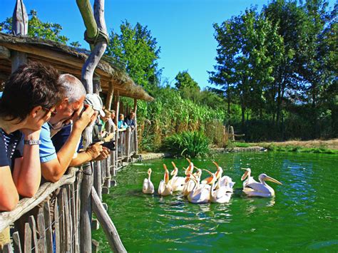 Vogelpark Marlow Bei Ribnitz Damgarten