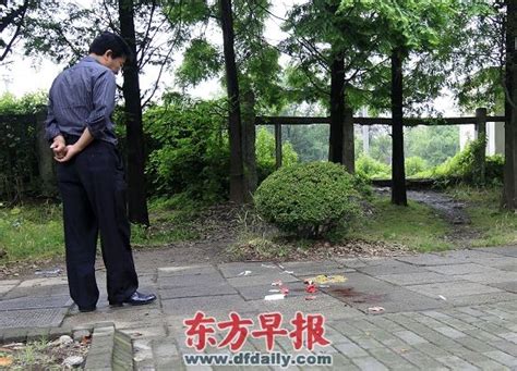 上海：两17岁学生疑因争风吃醋聚众斗殴致1死2伤 无花果 新浪博客