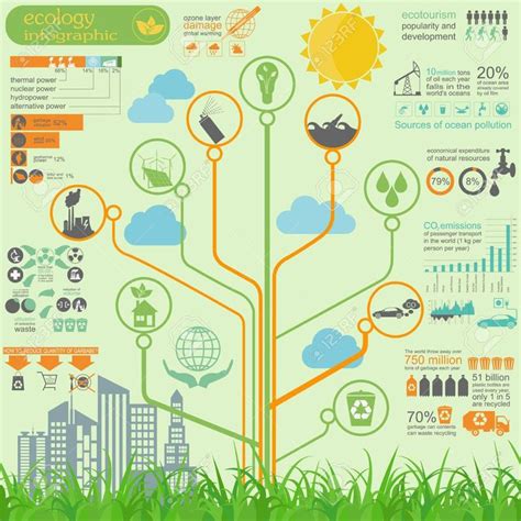 Ecosystem Infographic Template