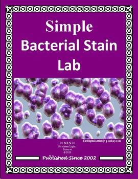 Results for simple stain bacteria lab | TPT