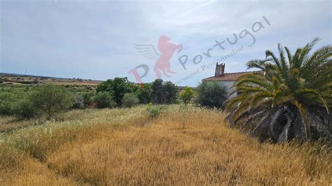 Capportugal Vende Se Terreno Vedado De Hectares Na