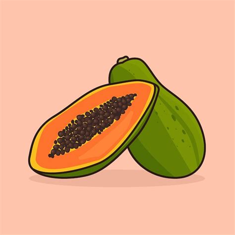 Premium Vector Two Pairs Of Papayas Fruit Vector Illustration