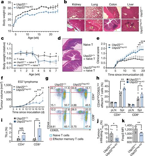 Treg Specific Ablation Of Usp22 Results In Autoimmunity And Enhances