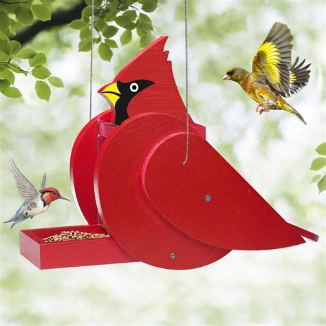 Bird Feeders For Outside Squirrel Proof Bird Feeders For Outdoor