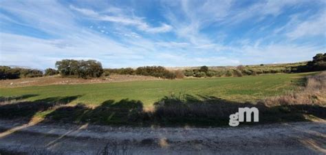 Fincas Y Parcelas Rusticas En Venta En Moraleda De Zafayona Granada