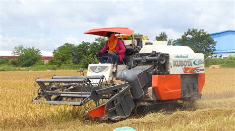 Rice Harvester Kubota Dc Plus Agriculture