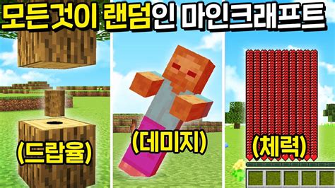 모든 스텟이 완벽하게 랜덤 으로 뒤바뀌는 마인크래프트 YouTube