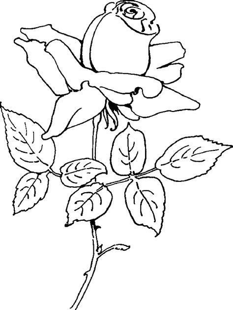 Dessins De Coloriage Roses Imprimer Sur Laguerche Page