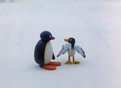 Pingu and the Seagull - Pingu Wiki