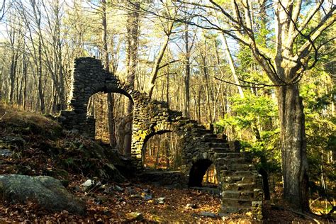 Madame Sherri Forest and Ruins