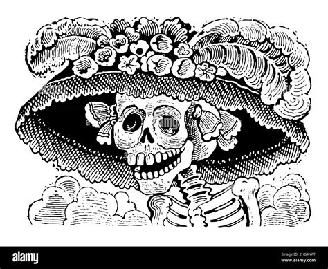 La Catrina Drawing Stock Vector Images Alamy