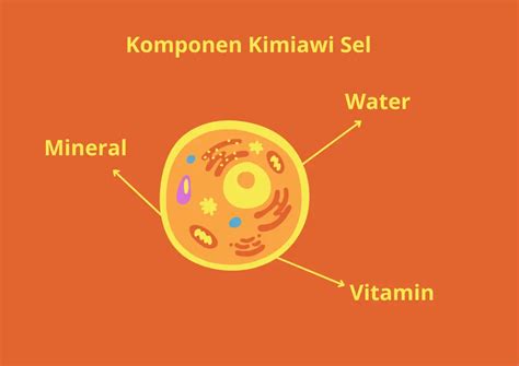 2 Komponen Kimiawi Penyusun Sel Serta Fungsinya Quipper Blog