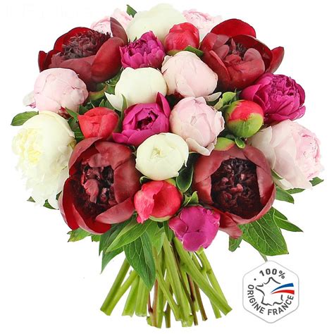 Livraison Bouquet De Pivoines 15 Tiges 5 Offertes Bouquet De