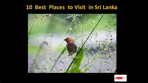 Srilanka Travel Guide 2023 10 Best Places To Visit In Srilanka Srilanka