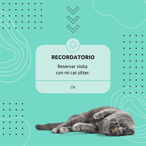 P Gina Explor Plantilla De Mascotas Personalizables Gratis Canva