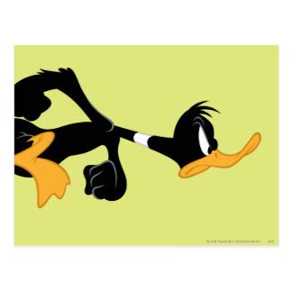 Daffy Duck Postcards | Zazzle