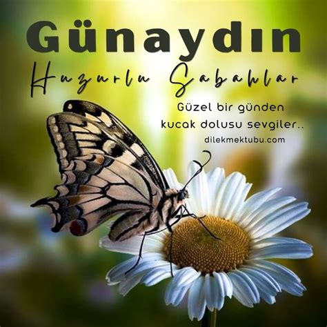 G Nayd N Hay Rl Sabahlar Temmuz