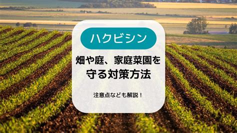 ハクビシンから畑や庭、家庭菜園を守る対策方法！注意点なども紹介 コストモンスター