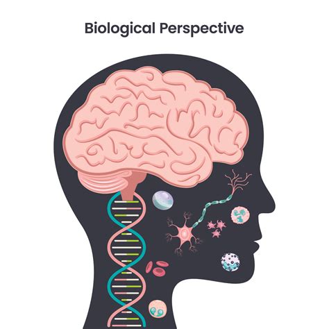 perspectiva biológica psicología educación vector ilustración diseño