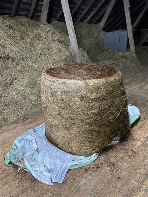 Bio Futterb Rse Verkaufe Bio Silageballen Kaufen Landwirt