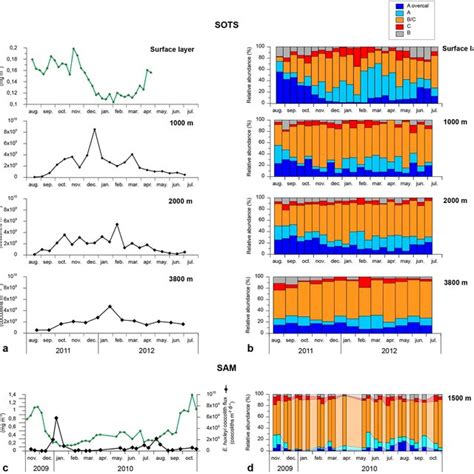 Seasonal Variation On The Satellite Derived Chlorophyll A Concentration Download Scientific