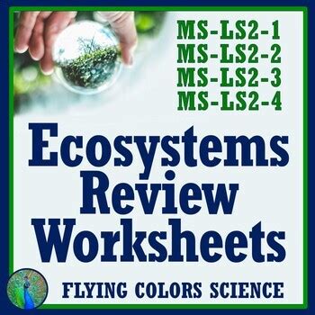 Ecosystems Worksheet NGSS MS LS2 By Flying Colors Science TpT