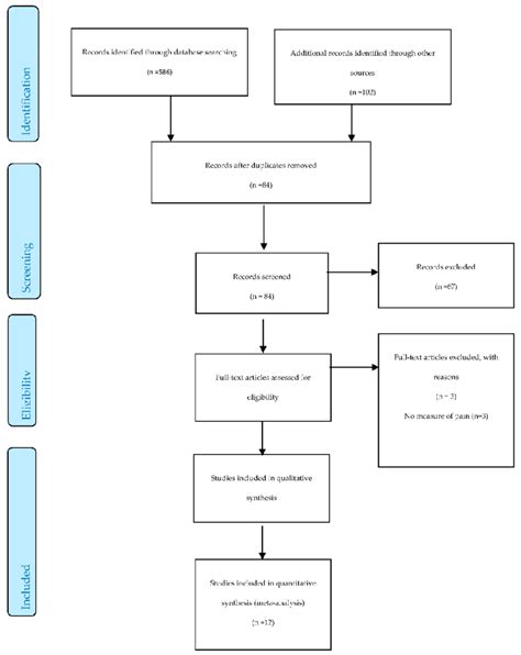 Blank Prisma Flow Chart