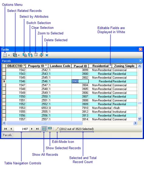 A Quick Tour Of Tables And Attribute Informationarcmap Documentation