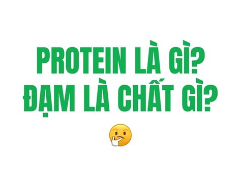 Protein L G M L Ch T G C Ch Gi I Th Ch C C D Hi U Ph An Kh Nh