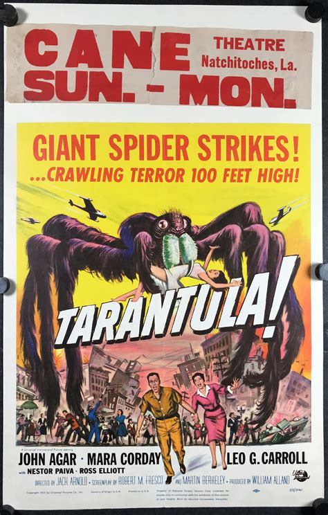 TARANTULA, Original Vintage Horror/Sci-fi Paper Backed Movie Poster - Original Vintage Movie Posters