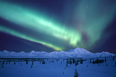 Aurora Borealis over Denali in winter, composite; Alaska, United States ...