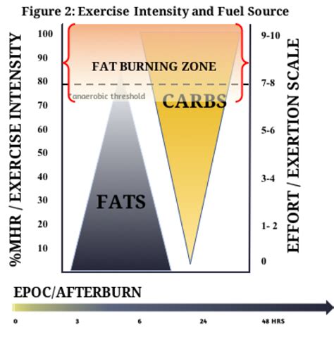 The Real Fat Burning Zone What The Science Says How It Affects Our Workouts Training