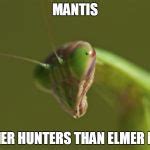 praying mantis Meme Generator - Imgflip