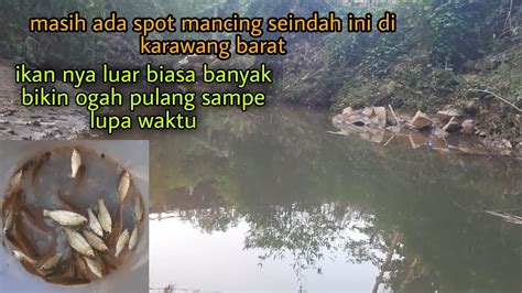 MICROFISHING Karawang Karawang Barat Mancing Liar Karawang Panen