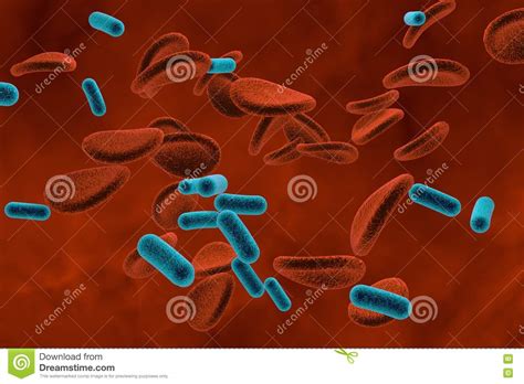 Bacterias En La Sangre Bacteriemia Stock de ilustración Ilustración