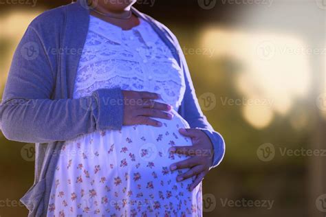 Young Beautiful Pregnant Woman Standing Near Window At Home 13628935